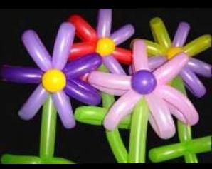 Animaci&oacute;n de Ocio y Tiempo Libre